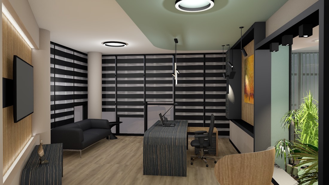 DesignMania-INSS-CEO-office-8